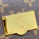 Louis Vuitton Cluny BB M44863